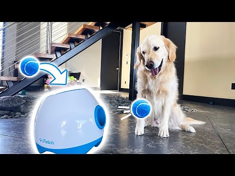 INSANE AUTOMATIC TENNIS BALL LAUNCHER!