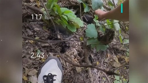 猛蛇过江再度发现人民碎片，冷门赛道越发邪门