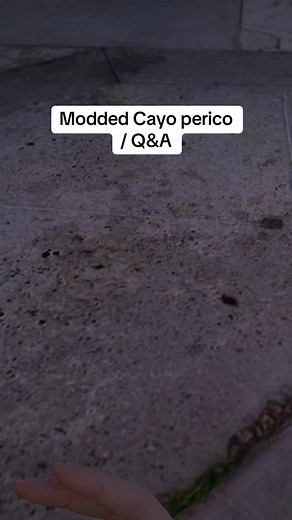 Replying to @Shakier Here’s some Q&A for you guys while I do a modded Cayo perico hiest :) #fyp #gta #gta5_funny #gtaonlineheists #cherax