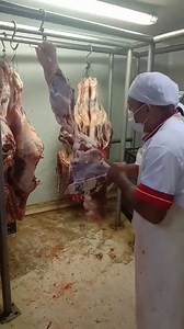 Carlos Mario Vergara Pérez deshuesador Carnecol | Carniceros y algo más.