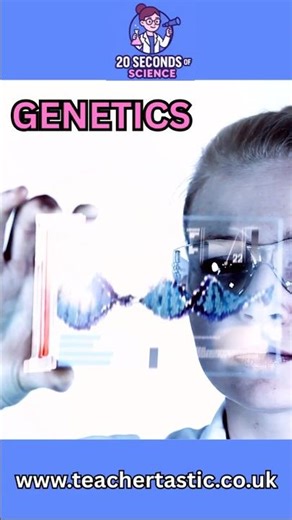 DNA, Genes & Chromosomes made easy | GCSE Biology