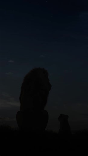 Do Your Choices Still Matter If Allah Already Knows?