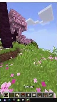 HOW TO GET the Tempad MOD for MINECRAFT