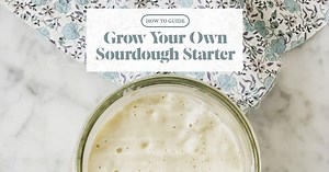 How to Grow a Sourdough Starter from Scratch