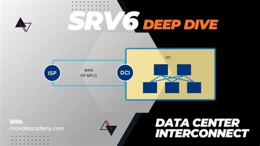 SRv6 Simplifies Data Center Routing with EVPN-VXLAN and MPLS | Rinovate Academy posted on the topic | LinkedIn