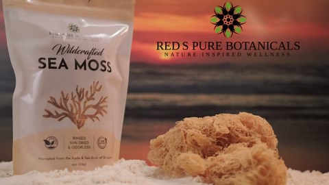 Wildcrafted Sea Moss - Healthy Irish, Raw Sea Moss from Rocks & Sea Beds of St. Lucia - 4oz Dry Makes 60-80oz Seamoss Gel - Hand-Harvested, Vegan and Non-GMO - 114 Gram Pack
