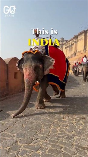 You Won’t Believe This is India 😍 | Most Beautiful Places in India