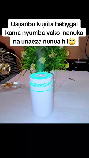 For those asking this is a humidifier and here are it's benefits; 1. humidifiers are used as air fresheners 2. humidifiers will leave your space smelling amazing all day long 3. humidifiers are used as decors 4. humidifiers helps in hydrating skin and lips 5. humidifiers helps to relieve nasal congestion especially in babies For orders whatsapp or call us on 0721 132 679 #humidifier #diffuser #essentialoil #fragrances #perfume #decorideas #roomdecor #decor #nairobitiktokers #fyp