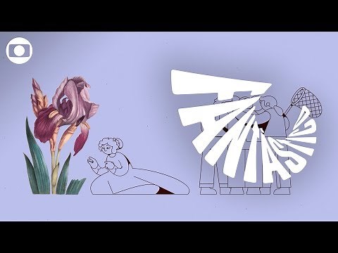 Mulheres Fantásticas #8 | Maria Sibylla Merian