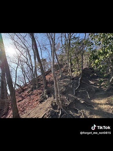 皆野アルプスはスリル満点の鎖場、痩せ尾根を楽しめる大人のアスレチックルート#登山 #絶景 #埼玉県 #秩父 #青空