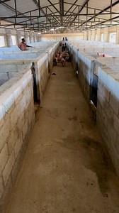 Nawa C Nawa on Reels