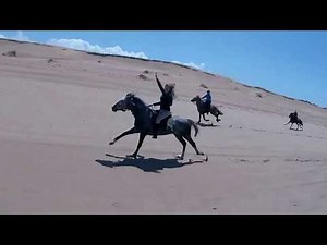 chevaux au grand galop rapide course sur la plage ~ freeride on the beach - Amazir Cheval