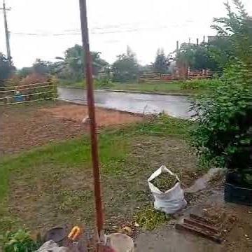 today havy raing nepal