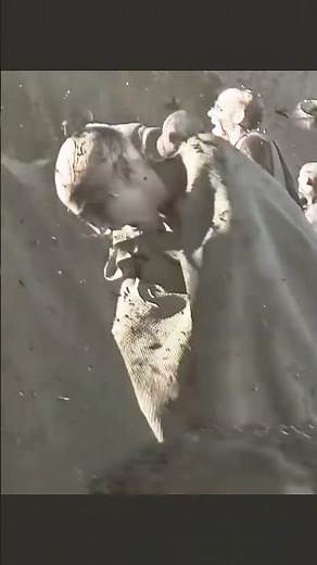 Alien: Covenant (2017) | David's Betrayal and the Fall of the Engineers