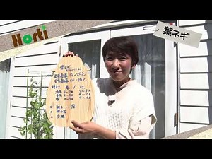 Leaf onions are useful! Important points to remember when starting to grow them