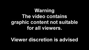 Caught on camera: Rat eats another rat (Warning: graphic content)