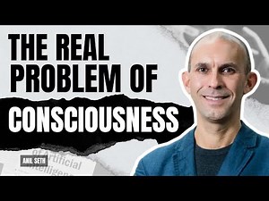 Exploring Consciousness, Philosophy, Neuroscience, and the Quantum World - Anil Seth | 04