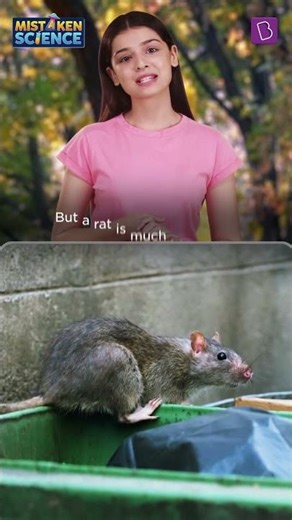 Is This Is A Mouse Or A Rat? | BYJU'S Mistaken Science #shorts