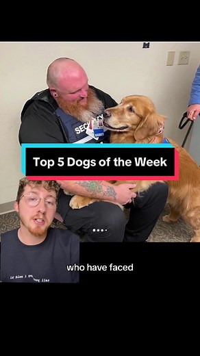 Top 5 Dogs of the Week Showcase