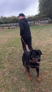 Lead Holding Techniques For Better Control #dogs | Southend Dog Training