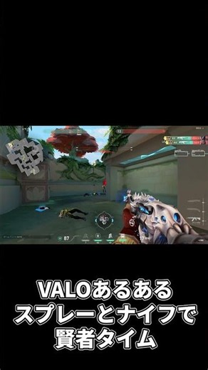 【ヴァロラントあるある】イキリスプレーイキリナイフ賢者タイム#valorant #ヴァロラント