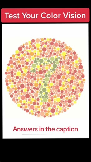 🎨 COLOR VISION TEST - Call out the numbers you see as Dr