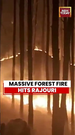 Rajouri Forest Fire Sparks Alarm | Eco Park Bathuni Engulfed in Flames