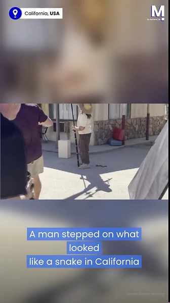 Fake snake prank sends man running in panic in California