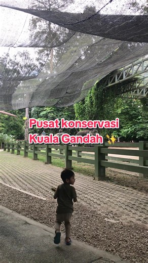 Pusat Konservasi Gajah Kuala Gandah
