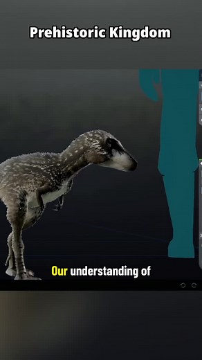 Our understanding of Tyrannosaur ontogeny probably needs to be reevaluated after the recent developments in the Nanotyrannus saga. #dinosaur #dino #prehistory #paleontology #fossil #trex #Nanotyrannus | Dino Guy