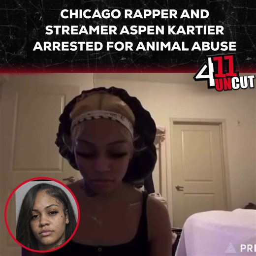 Gang, #Chicago rapper and Twitch streamer #AspenKartier was arrested after concerned fans went to authorities about the way she disciplined her dog on stream. Thoughts? #411Uncut #411WithNellaD