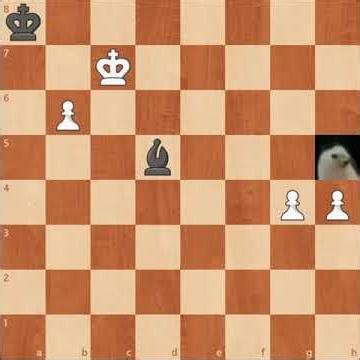 When Both Players Only Care About Promoting Pawns 👑