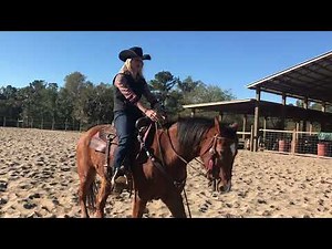 How To Back Your Horse Under Saddle.