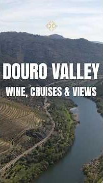 Discover Douro Valley: Portugal’s Most Stunning Wine Region