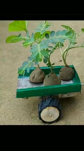 mini village #mrbanglahacker #scienceexperiments #mrindianhackar