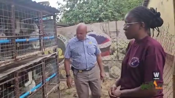 The Rabbit Empowerment InitiativeThe Rabbit Project is a community-driven initiative aimed at establishing sustainable, small-scale rabbit farming ventures, specifically designed to empower women… | Primrose Cathrine N Mangena