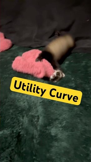 Diminishing Marginal Utility