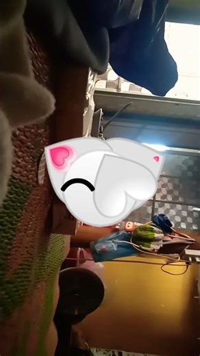 WP APK Android full screen caller ID pro