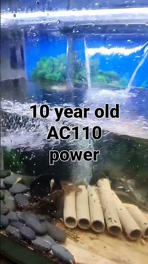 Aquaclear AC 110 double sponge