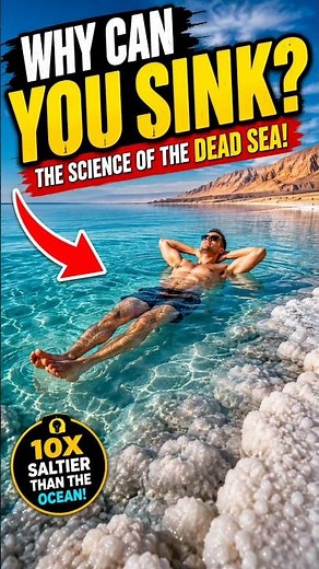 Why Can Humans Float in the Dead Sea? 🌊🧂 (The Science Explained!)