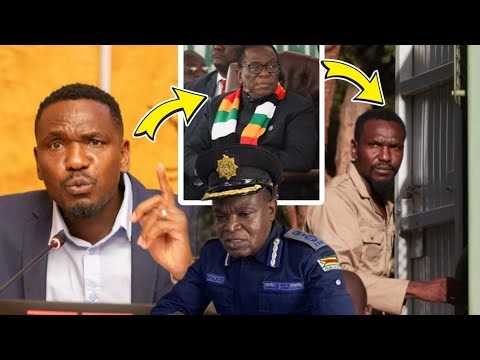 Mnangagwa Police Launch Arrest Warrant for Blessed Mhlanga After Geneva Speech Criticising ZANUPF