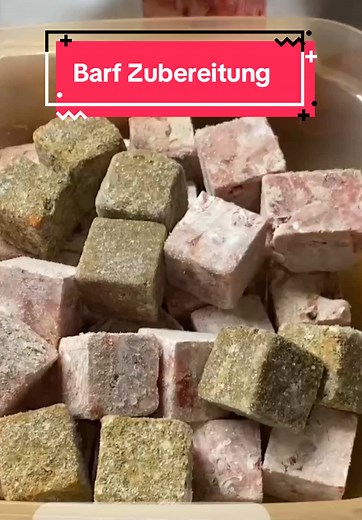 BARF Meal Prep mit #GrafBarf: Einfacher geht’s fast nicht! 🏆 Video: @pawlife_of_kiko #hund #fürdich #hundefutter #barf #barfen