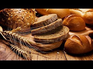 How to Make a Homemade Artisan Bread Recipe | Seriously the Best Bread Recipe Ever!