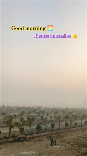good morning 🌅 #love #song #morning