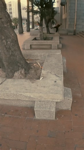 Imagine having a button that gives you an instant turbo boost in energy. Whooosh! Well, it’s called Turbovite® Blast. Try it. #GuessWhoHadTheirTurbovite #Turbovite #Energyboost | Turbovite