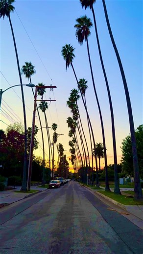 Winter Delights in Los Angeles