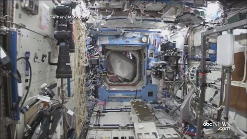 There's an 'Ape' at the International Space Station