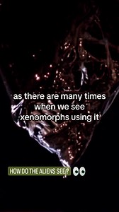 How do the Alien see ? What do you think ? Video by @alientheoryyt | Luis Nostromo