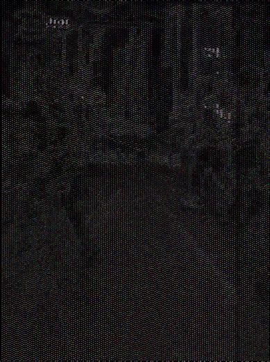 #home_crossfit #sport_chlef #gym #sports #kids