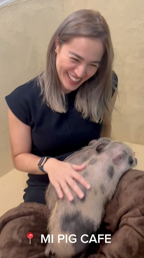 Micro Pig Cafe!! | Michele Gumabao